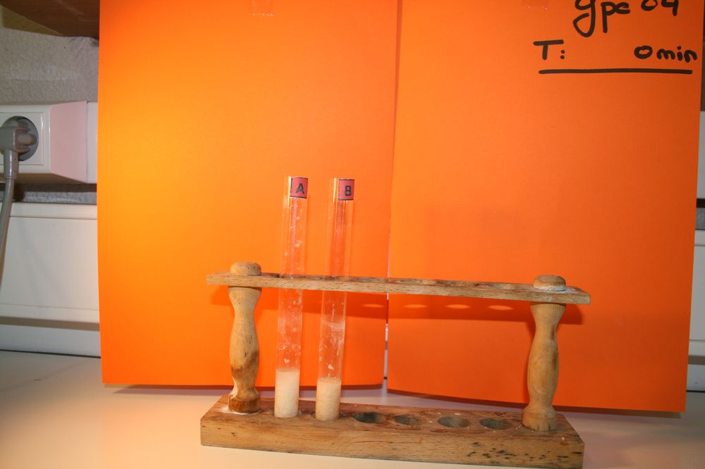 gal/LES_CINQUIEMES/ACTIVITE DIGESTION IN VITRO/Groupe_04/Groupe04_T_00h00min/Groupe04_T_00h_00min_1.JPG